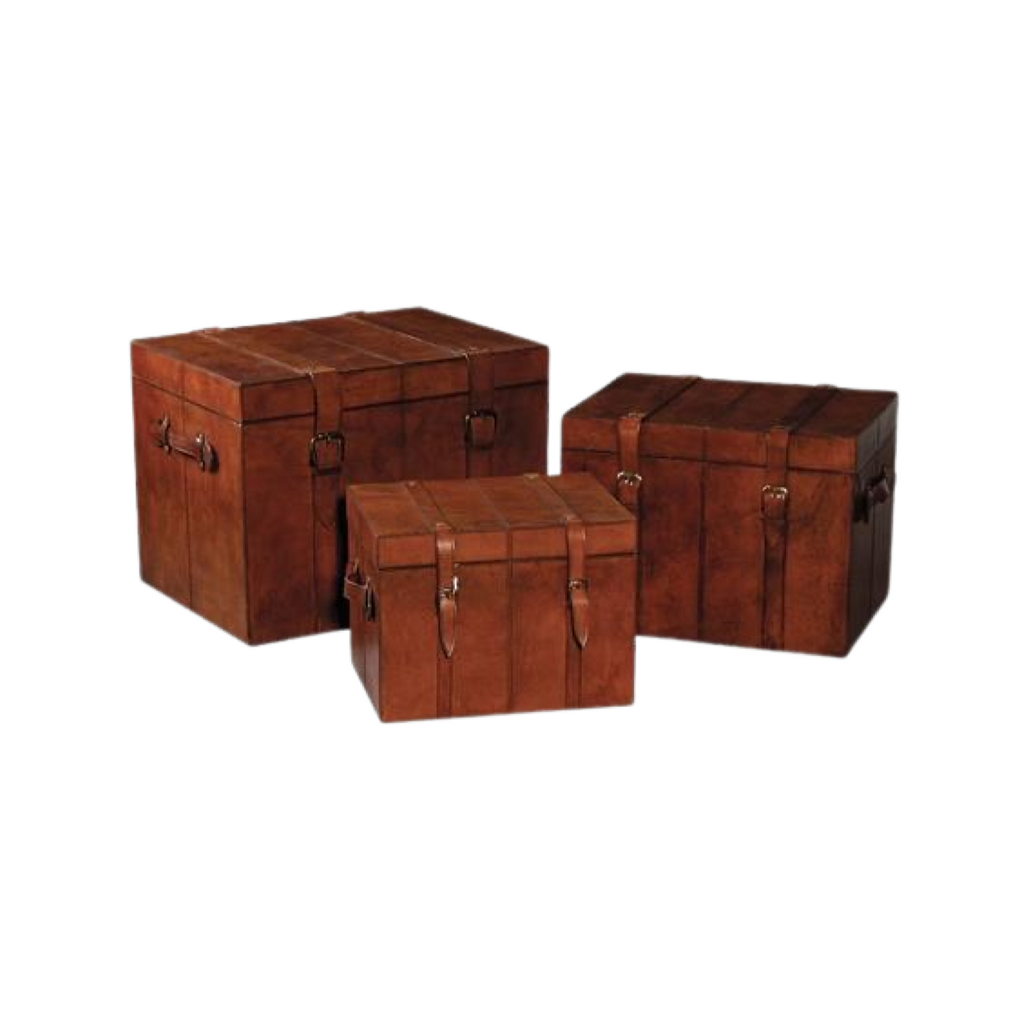 Leather Trunk Set - DCOR