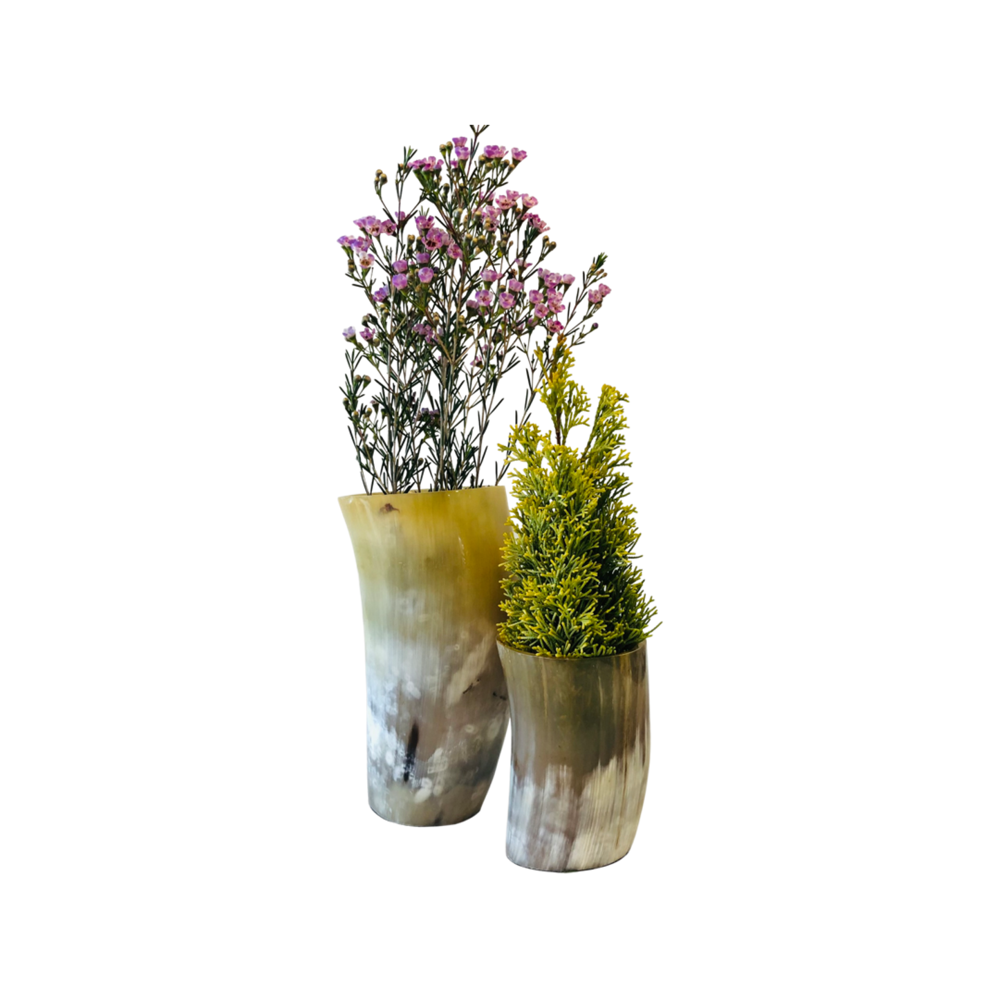 Ornate Ox Horn Vase