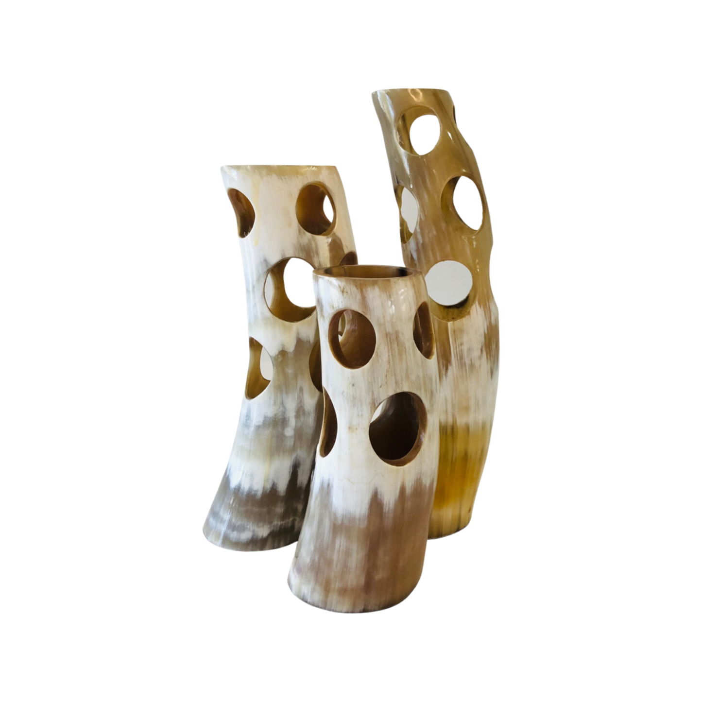 Ornate Ox Horn Vase - Modern