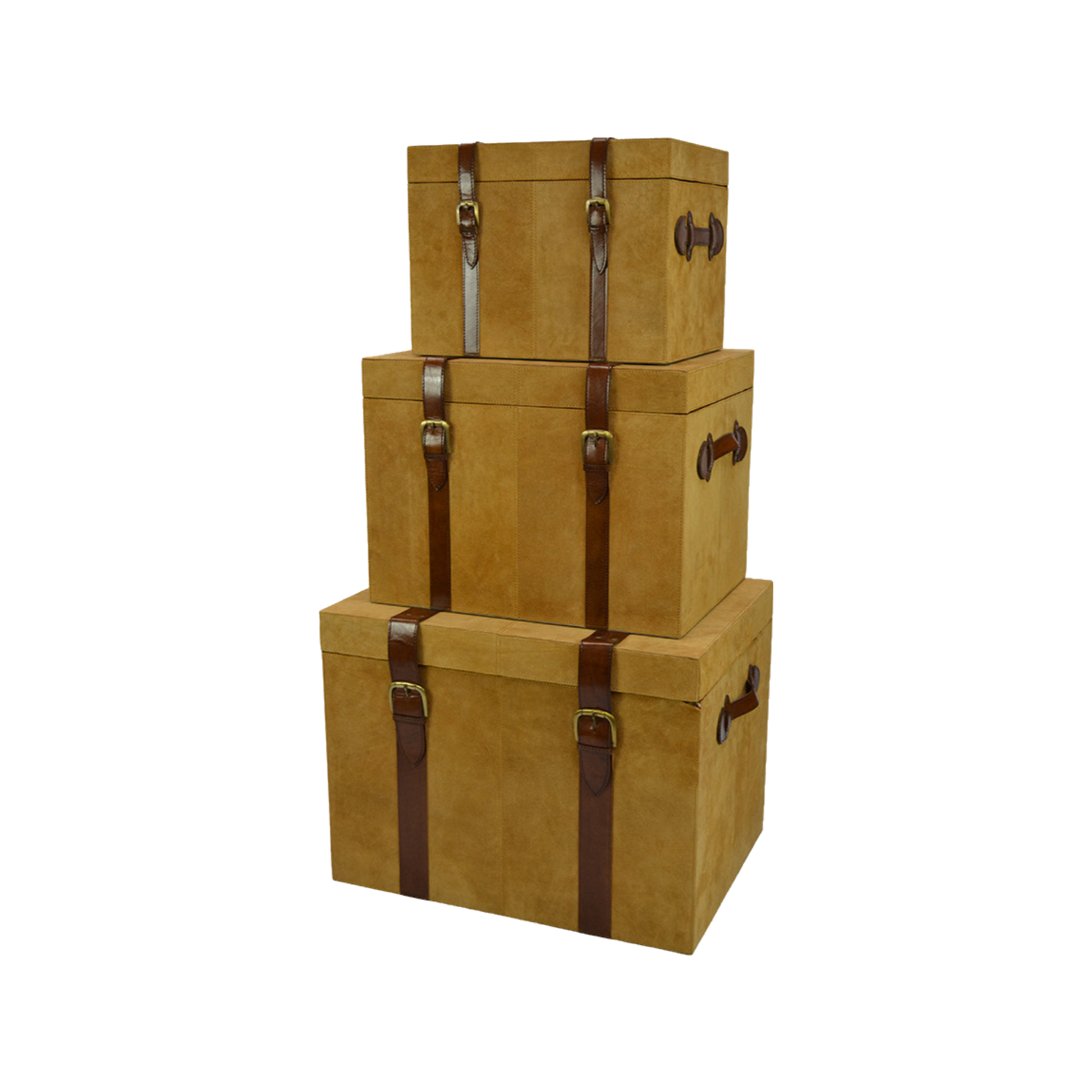 Leather Trunk Set - Tan Suede